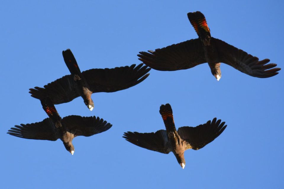 Kalbarri: Cruise on the Murchison River - Additional Information