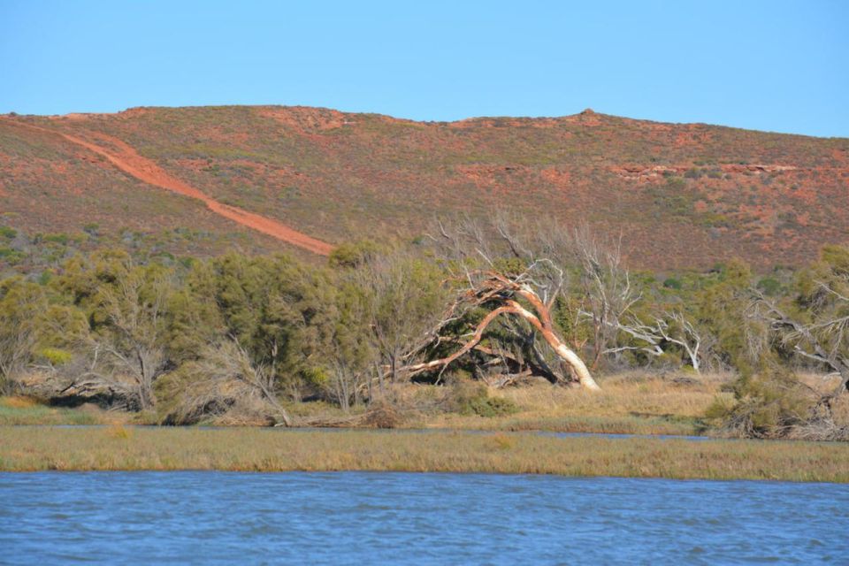 Kalbarri: Cruise on the Murchison River - Frequently Asked Questions