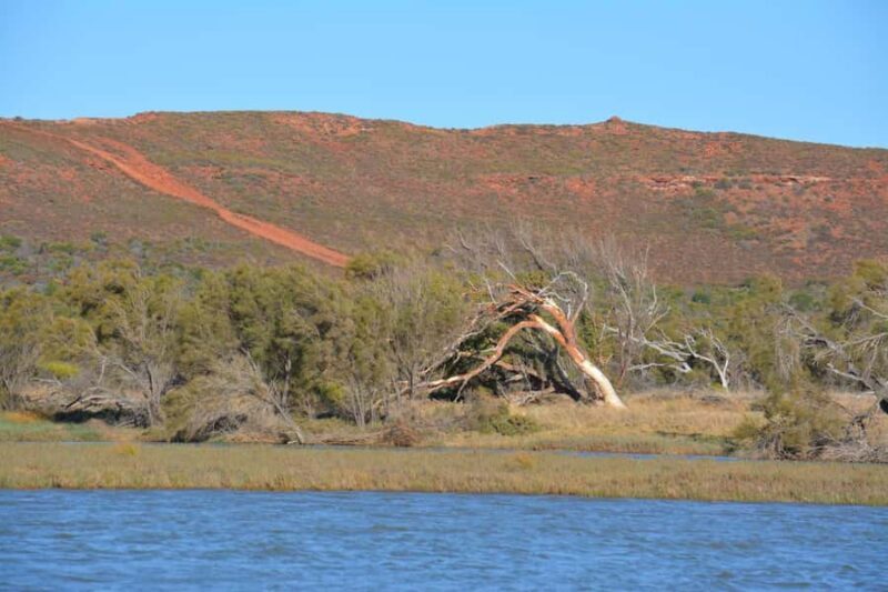 Kalbarri: Murchison River Morning Cruise - FAQs