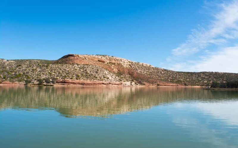 Kalbarri: Murchison River Wilderness Wildlife Cruise - A Detailed Look at the Murchison River Wilderness Wildlife Cruise