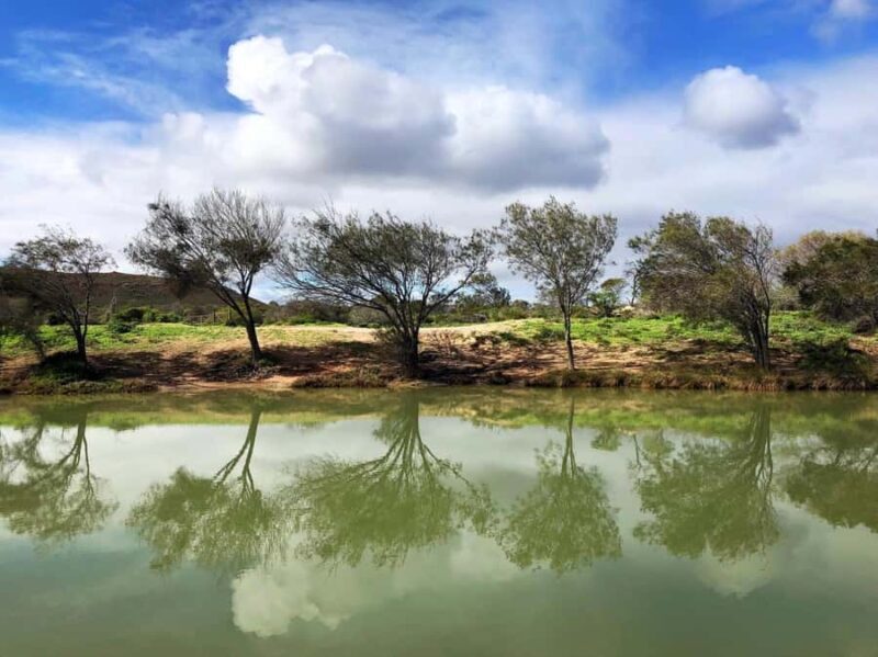 Kalbarri: Murchison River Wilderness Wildlife Cruise - FAQ