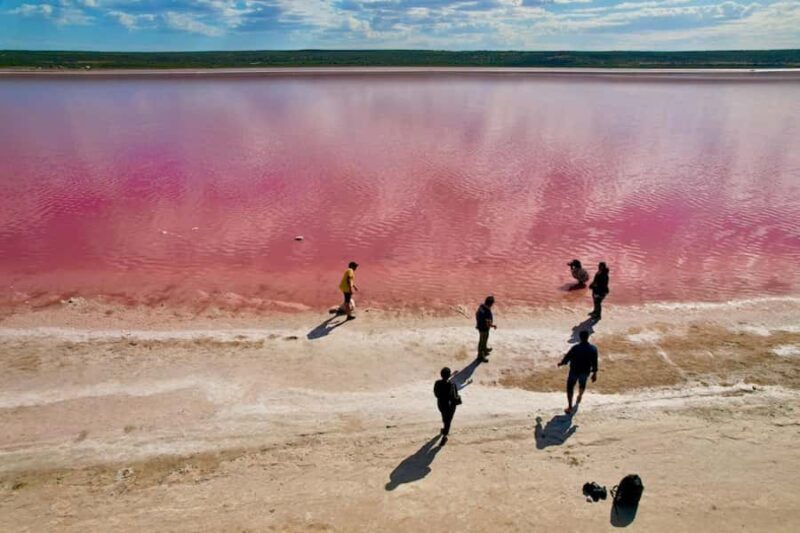 Kalbarri: Pink Lake and Coastal Cliffs Tour - What to Expect on the Tour