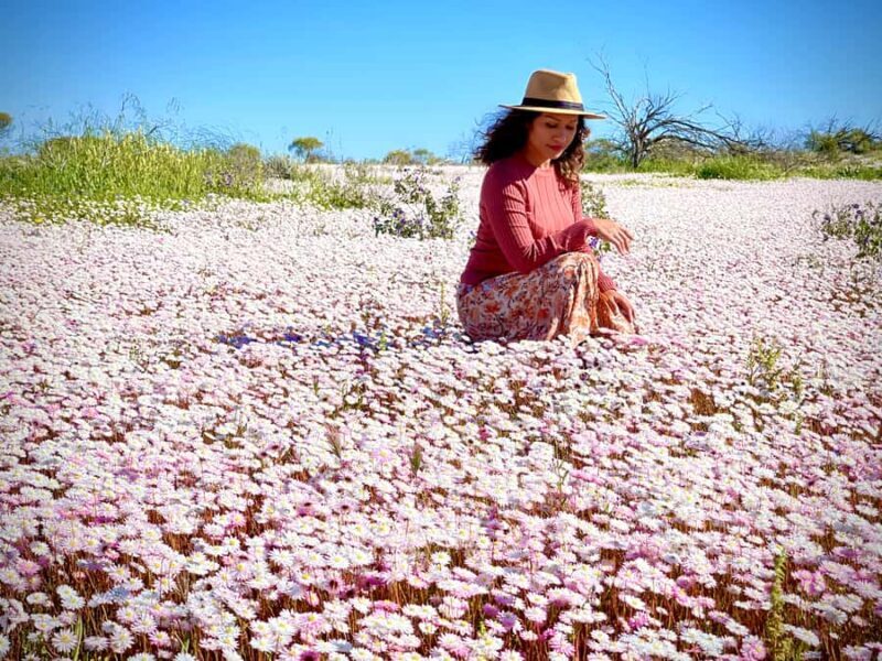 Kalbarri Wildflower Tour with Local Guide - Why Consider the Kalbarri Wildflower Tour?