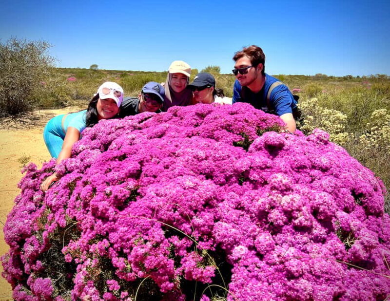 Kalbarri Wildflower Tour with Local Guide - The Experience Provider: DGuy Journeys