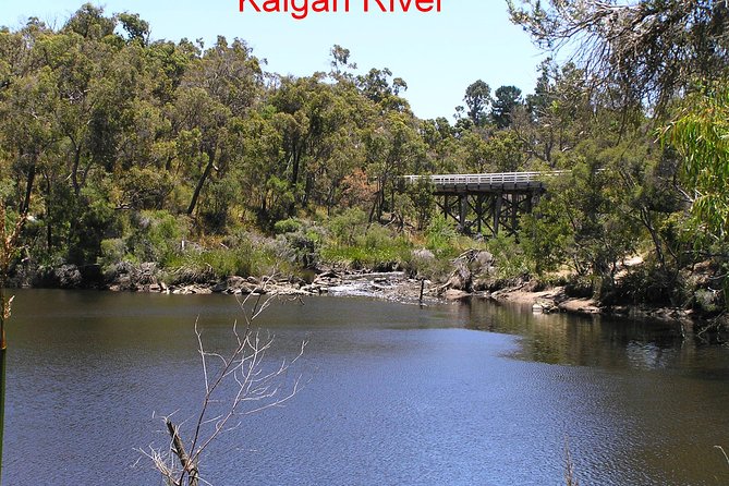 Kalgan Queen Scenic Cruises a Four Hour Sheltered Water Wildlife Tour Daily Fun. - Customer Reviews and Feedback