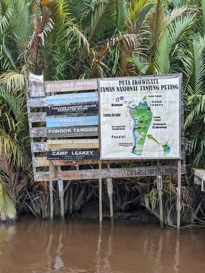 Kalimantan Orangutan 4 Days Trip (Start From Bali). - Good To Know