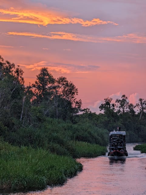 Kalimantan Orangutan 4 Days Trip (Start From Bali). - Itinerary Highlights