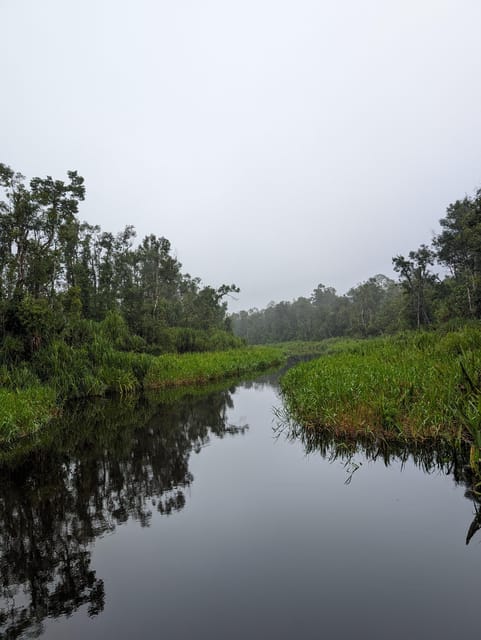 Kalimantan Orangutan 4 Days Trip (Start From Bali). - Accommodation and Meals