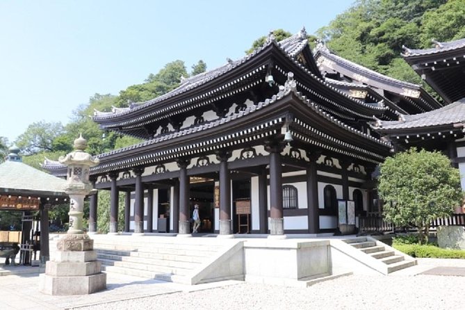 Kamakura Bamboo Forest and Great Buddha Private Tour - What to Expect on the Tour