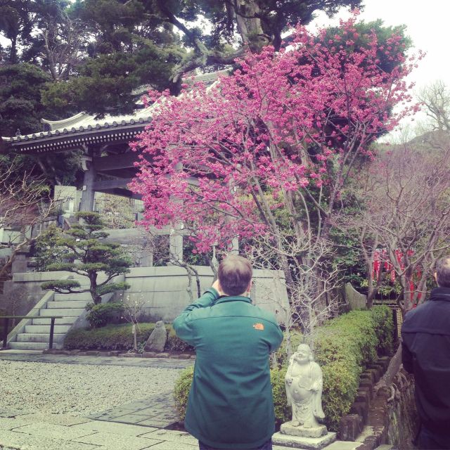 Kamakura: Great Buddha, Hase Temple, & Komachi Street Tour - Exploring Hase Temple