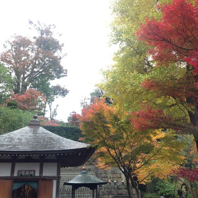 Kamakura: Great Buddha, Hase Temple, & Komachi Street Tour - Tsurugaoka Hachimangu Shrine