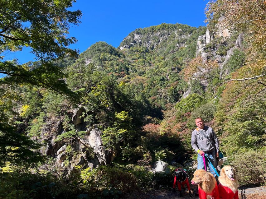 Kamakura Half Day Tour With a Local - Explore Historic Kamakura