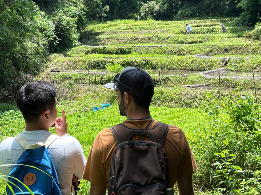 Kamakura Hidden Hike - Daibutsu Trail