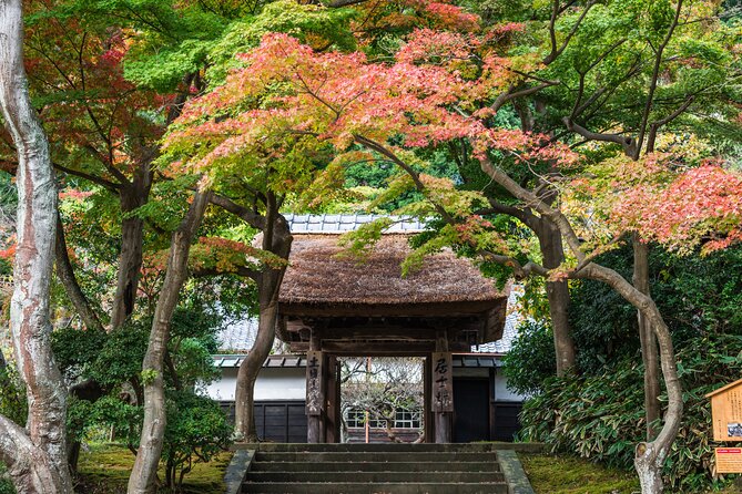 Kamakura Historical and Cultural Day Trip With Local Cuisine - Navigating the Tour With Convenience