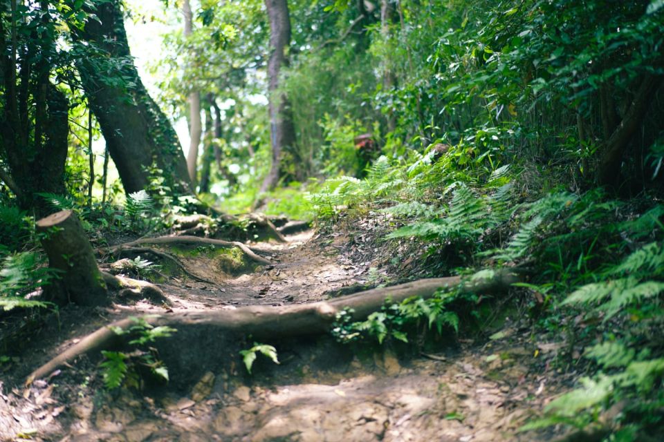 Kamakura Historical Walking Tour With the Great Buddha - Hase-dera Temple and Lunch