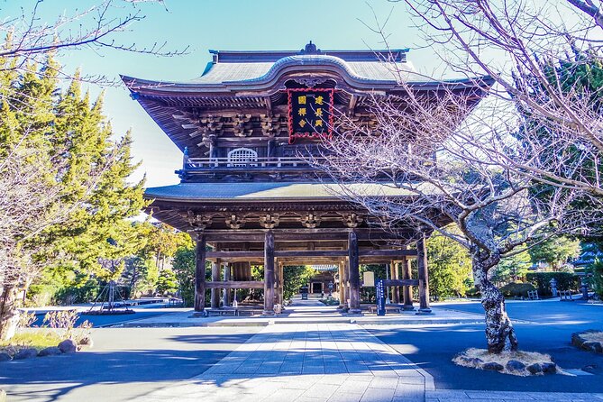 Kamakura Private Guided Tour With Traditional Experiences - Highlights of the Tour