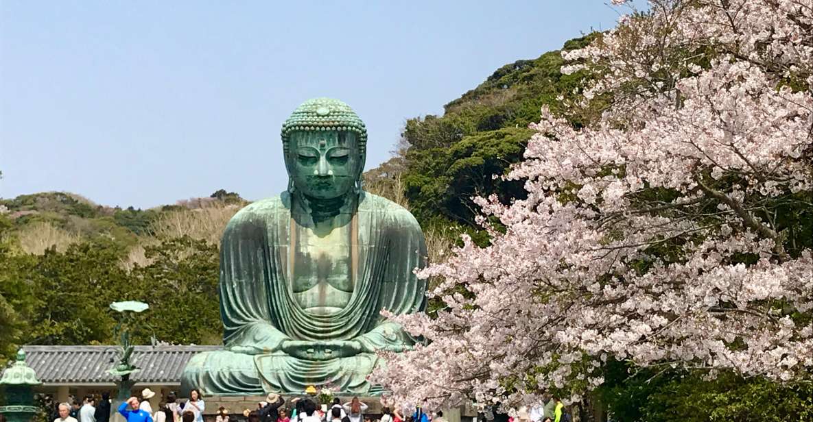 Kamakura & Yokohama: Highlight Tour in English - Exploring Historic Kamakura
