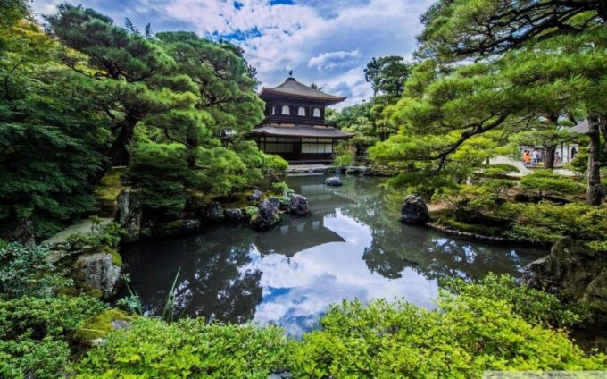 Kamakura & Yokohama One Day Private Trip With English Driver - Tips for Your Trip