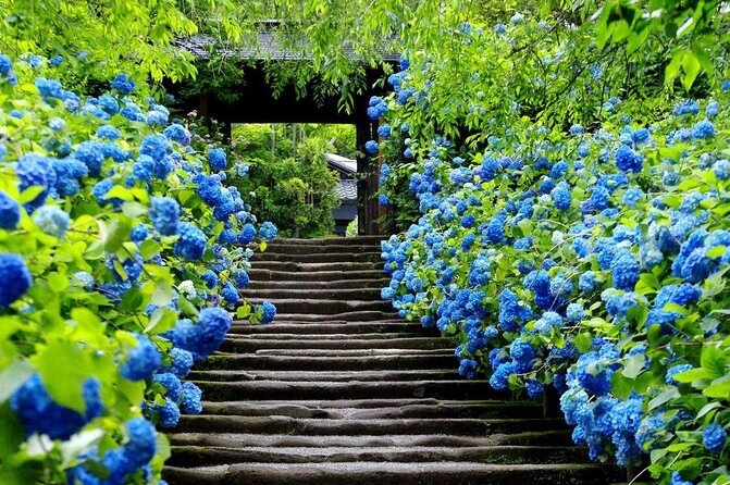 Kamakura & Yokohama One-Day Tour With English Driver - Pickup Information