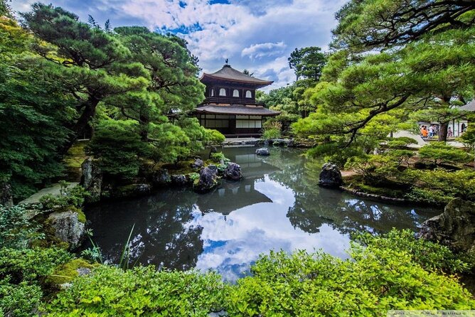 Kamakura & Yokohama One-Day Tour With English Driver - Highlights and Reviews
