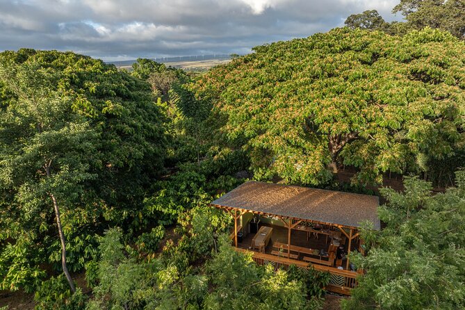 Kamananui Cacao Orchard Tour - Accessibility & Participation