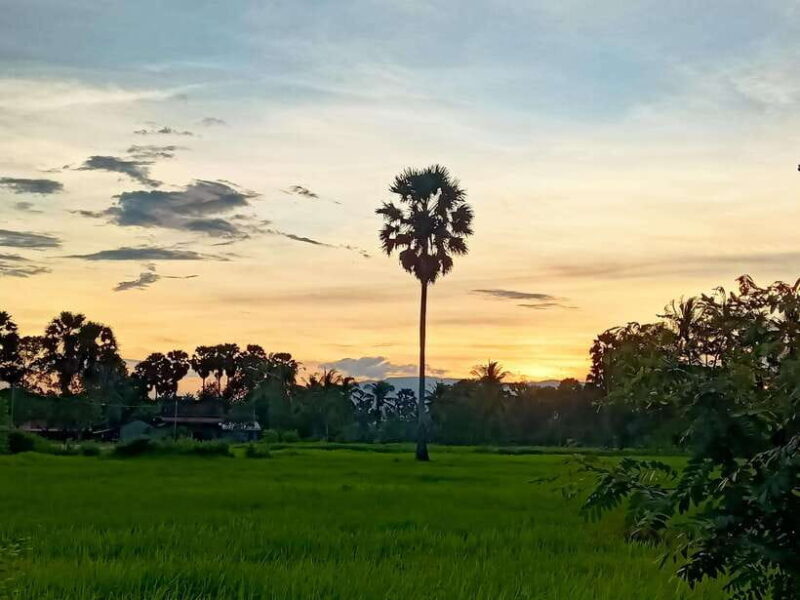 Kampot Countryside include Pepper farm,Kep crab market beach - An In-Depth Look at the Kampot Countryside Tour