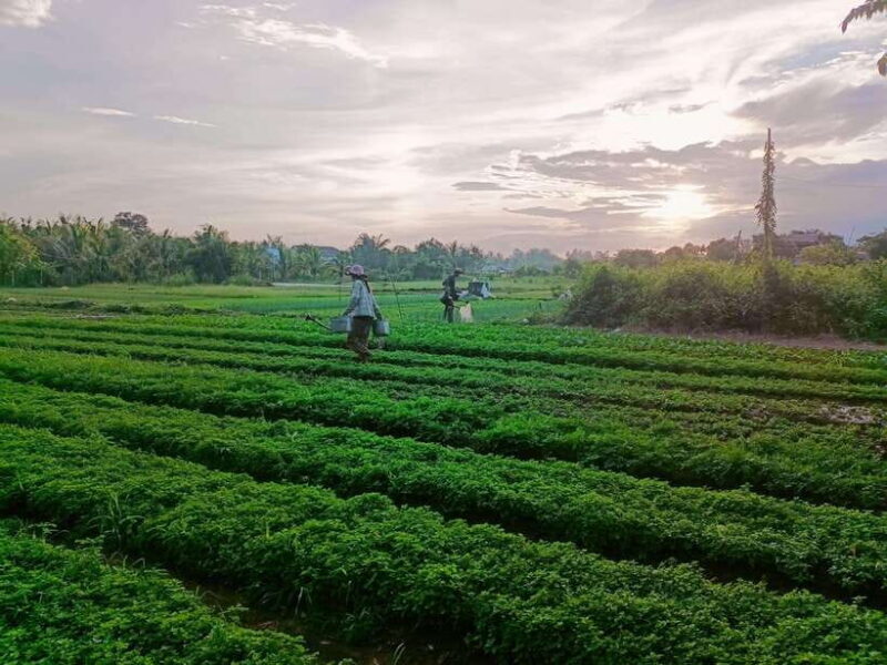 Kampot Countryside tour include Pepper farm by TukTuk - FAQ