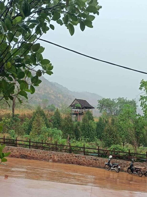 Kampot: Full-day Countryside Tour with Pepper Farm and Kep - Final Thoughts: Why Choose This Tour?