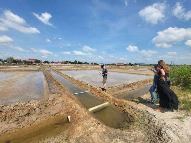 Kampot Pepper Farm, Salt Fields, Crab Market from Phnom Penh - Analyzing the Value