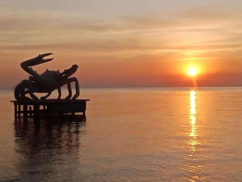 KAMPOT~ the kayak tour/pepper testing/Sunset on time & more - Authenticity and Traveler Feedback