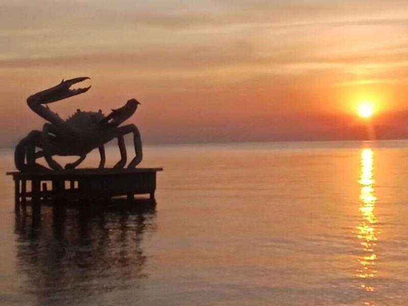 KAMPOT~ the kayak tour/pepper testing/Sunset on time & more - FAQ