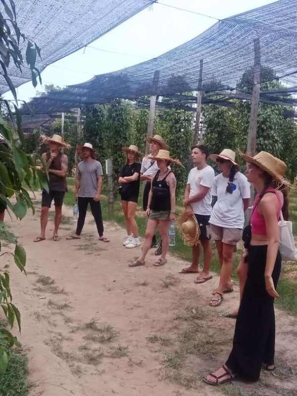 Kampot: Tuk Tuk Trip to Pepper Farm, Kep, Crab Market & More - FAQ