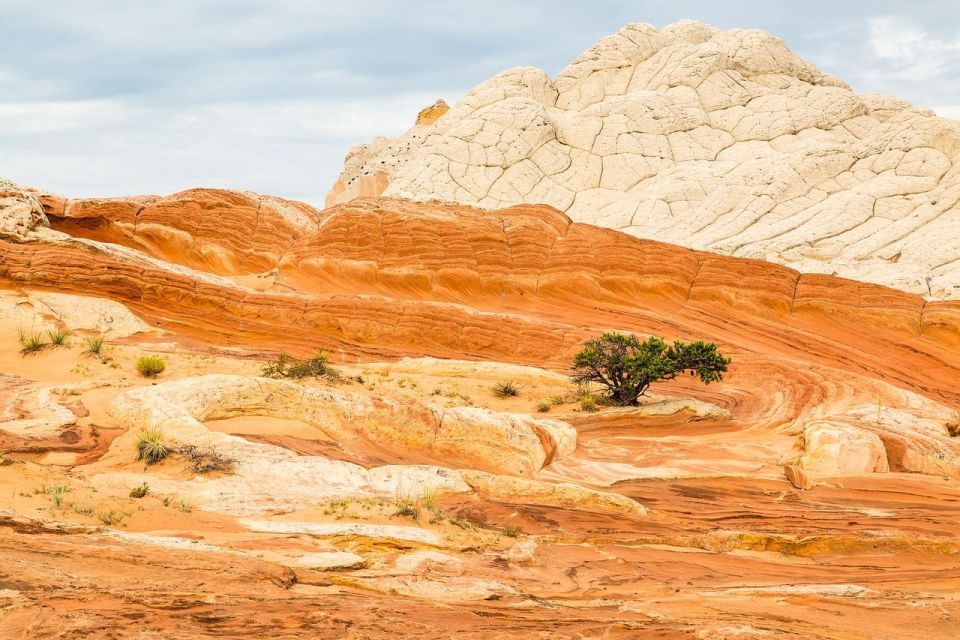 Kanab: White Pocket Tour & Hike - Includes