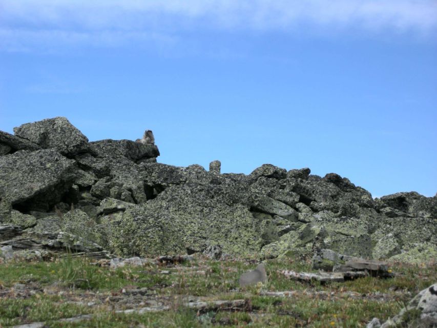 Kananaskis Country: Day Hike - Meeting Point and Logistics