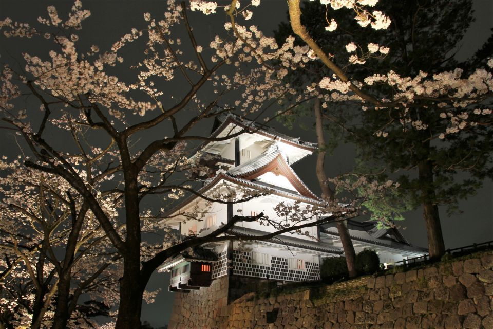 Kanazawa Full Day Private Guided Tour - Wheelchair Accessibility