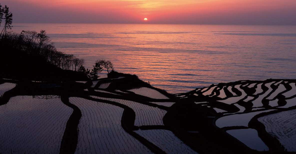 Kanazawa: Noto Peninsula Private Day-Tour - Senmaida Rice Fields Viewing