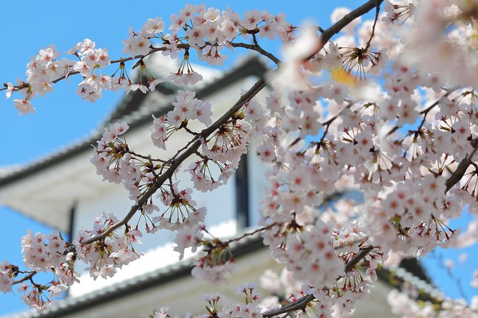 Kanazawa Private Half Day Photoshoot by Professional Photographer - Transportation and Admission Fees