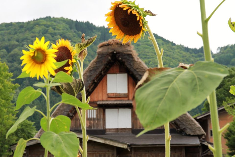 Kanazawa to Shirakawago: Half-Day Tour - Key Points