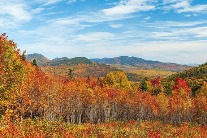 Kancamagus Scenic Byway Self-Guided Audio Driving Tour Guide - Customer Reviews and Experiences