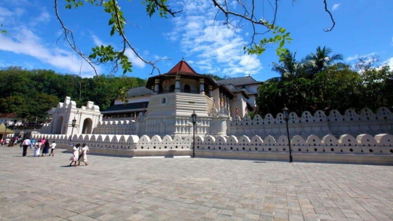 Kandy and Pinnawala: A Perfect 1-Day Tour Experience - The Temples and Kandy