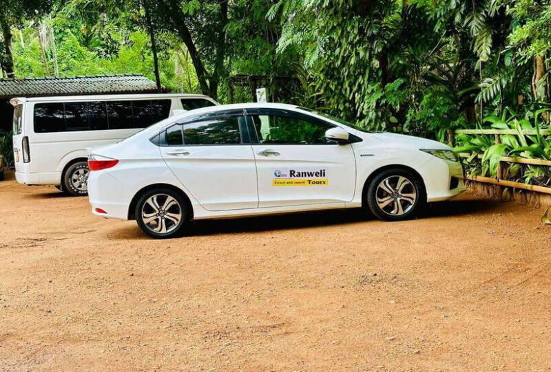 Kandy City Day Tour from Colombo, Negombo or Katunayake - Key Points