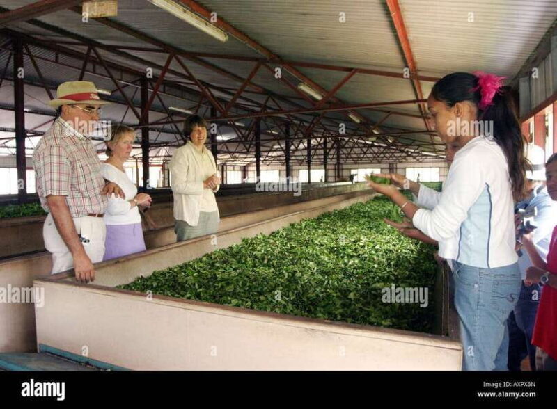 Kandy City Explore Full Day Tour , Like a Local - Beginning the Journey: What to Expect