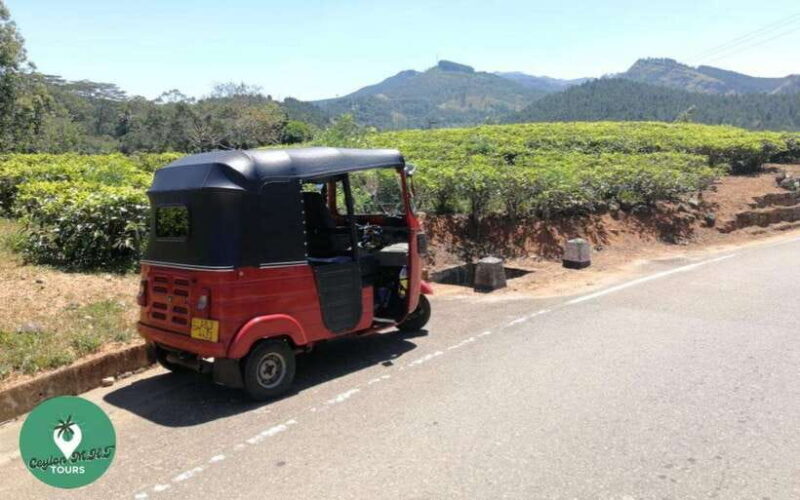Kandy: City Explore with Local guide By Mini Van - Introduction to the Experience  