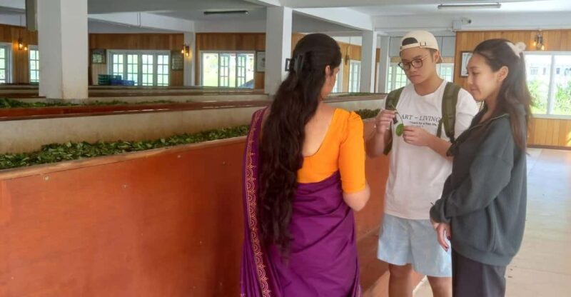Kandy City Tour by Tuk Tuk - Tour Overview and Pricing