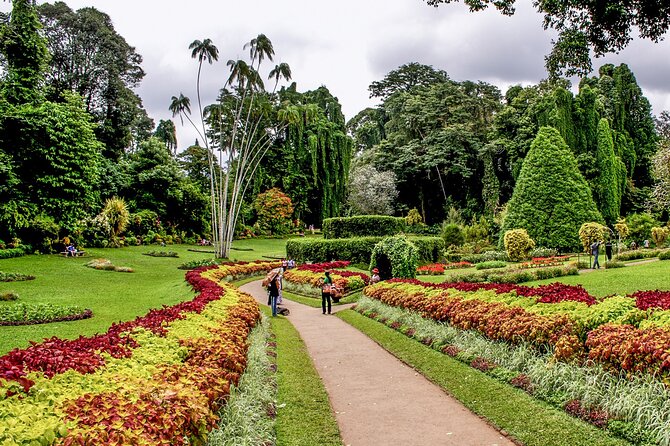 Kandy City Tour From Colombo - Booking Process