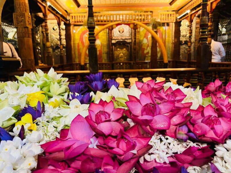 Kandy: City Tour with Ambuluwawa Tower Day Trip - Tea and Culture