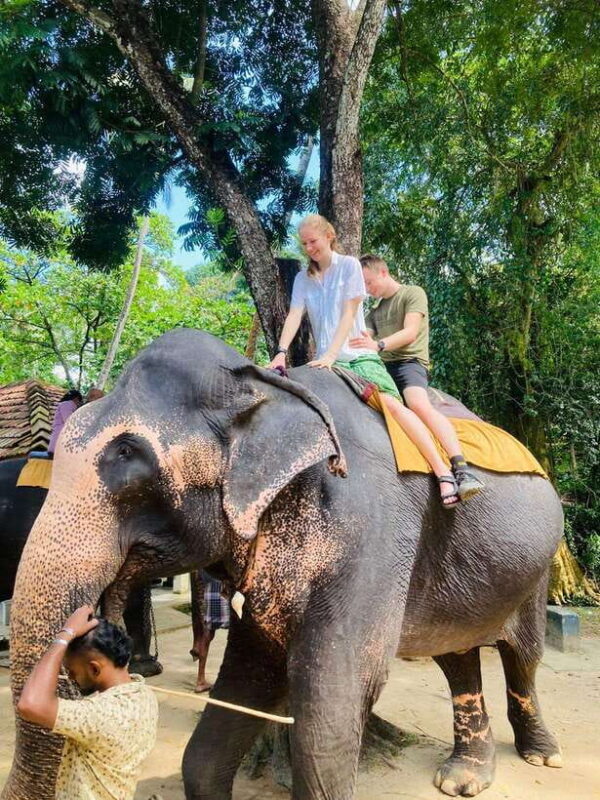 Kandy City Tour with Pinnawala Tuk Tuk Ride - An In-Depth Look at the Tour Experience