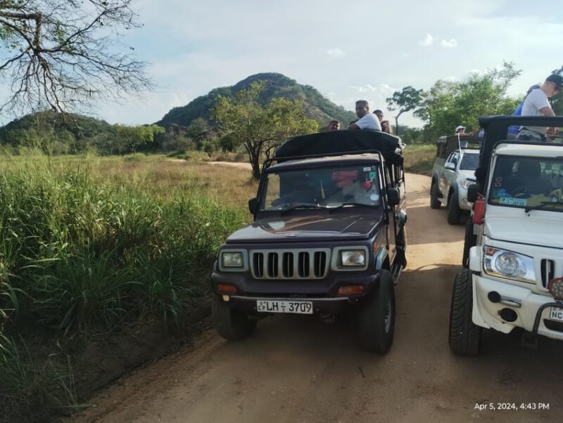 Kandy; Day Tour to Sigiriya & Elephant Safari - Itinerary Highlights