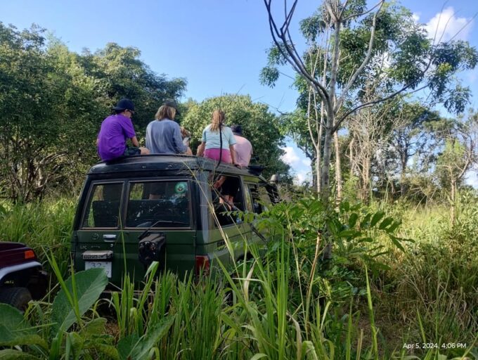 Kandy; Day Tour to Sigiriya & Elephant Safari - Optional Visit to Spice Garden