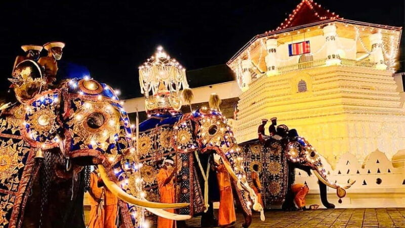 Kandy Esala Perahera (2025 July-30 - 2025 Aug-09) - Who Should Consider This Tour?
